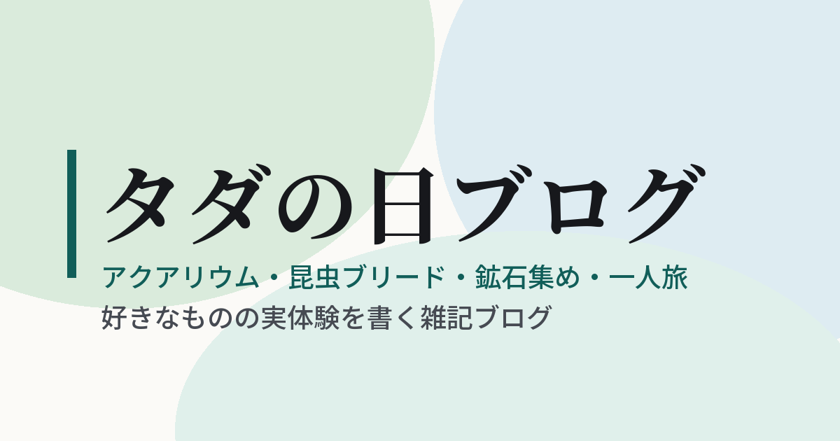 レプリカ化石作製体験