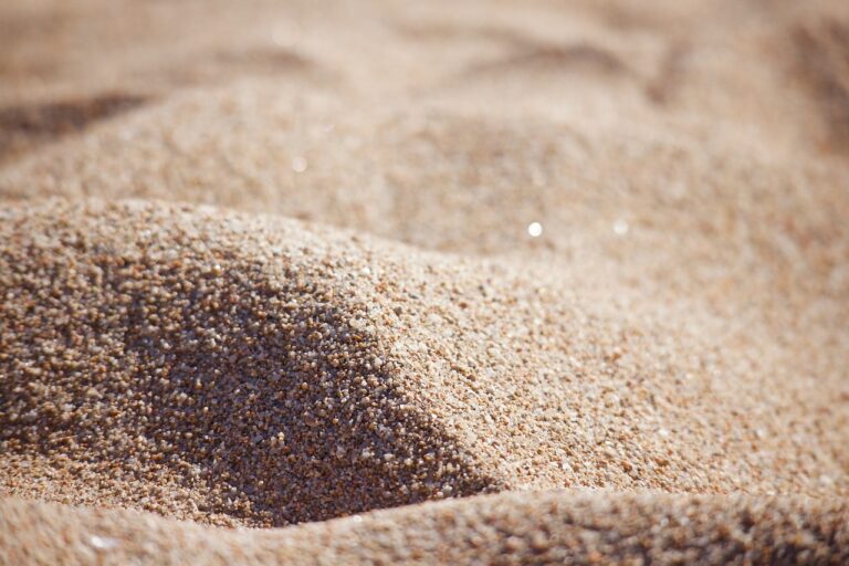 デグーはなぜ砂浴びなのか？
