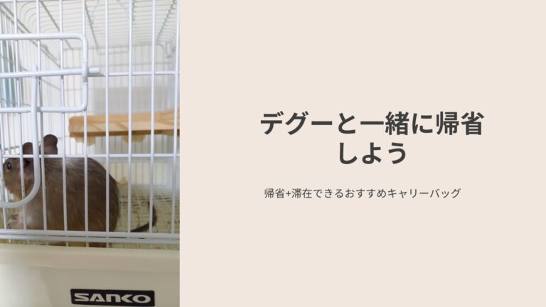 移動用ケージ「ライトキャリー」お盆はデグーと帰省したい！
