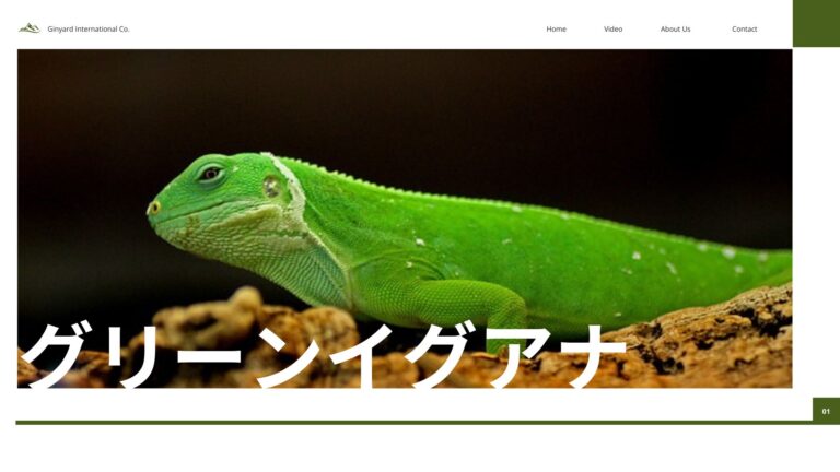 500円のグリーンイグアナを衝動買いしなくてよかった…【レプタイルズワールド】