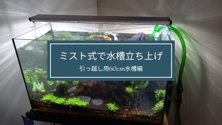 アクアリウム2回目の立ち上げはミスト式
