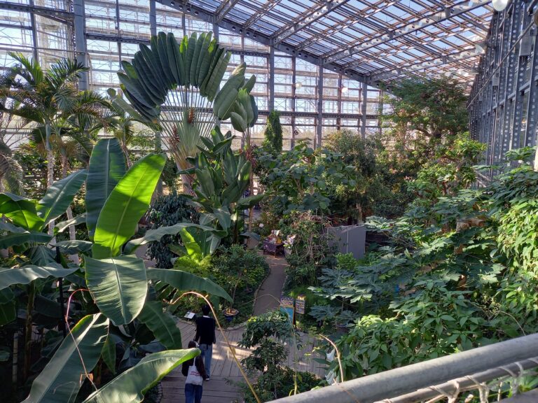 【一人旅】キソウテンガイ…？室内の植物園、咲くやこの花館に行ってきました！