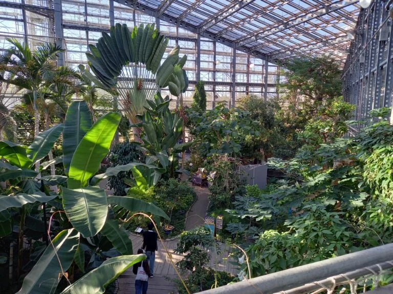 【一人旅】キソウテンガイ…？室内の植物園、咲くやこの花館に行ってきました！